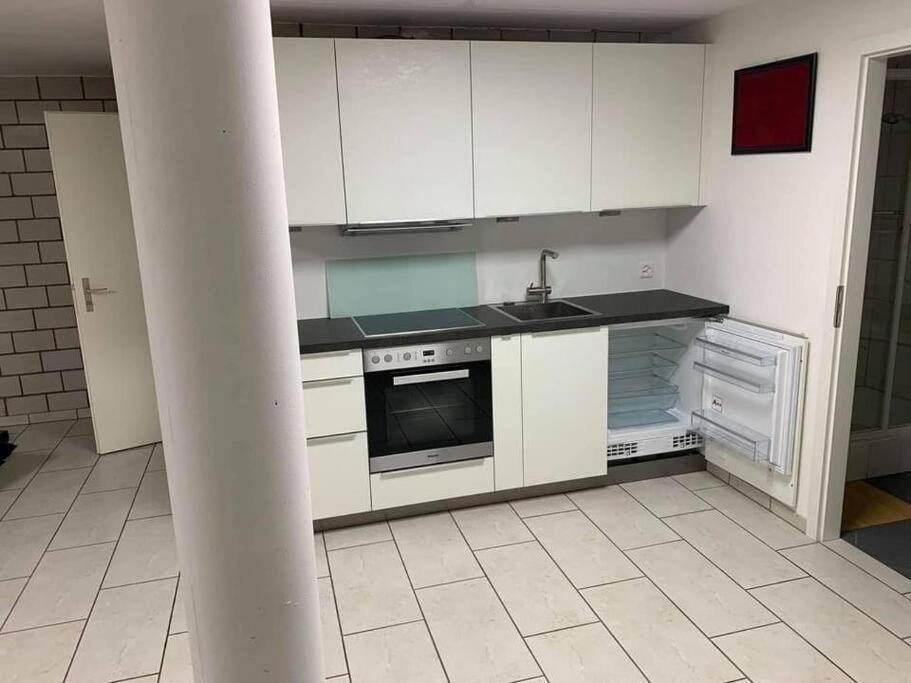 Basel - 5 Mins Away - Modern Basement Studio With Kitchen 35M2 In Muttenz Extérieur photo