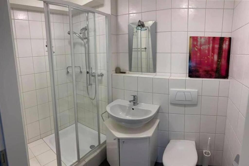Basel - 5 Mins Away - Modern Basement Studio With Kitchen 35M2 In Muttenz Extérieur photo