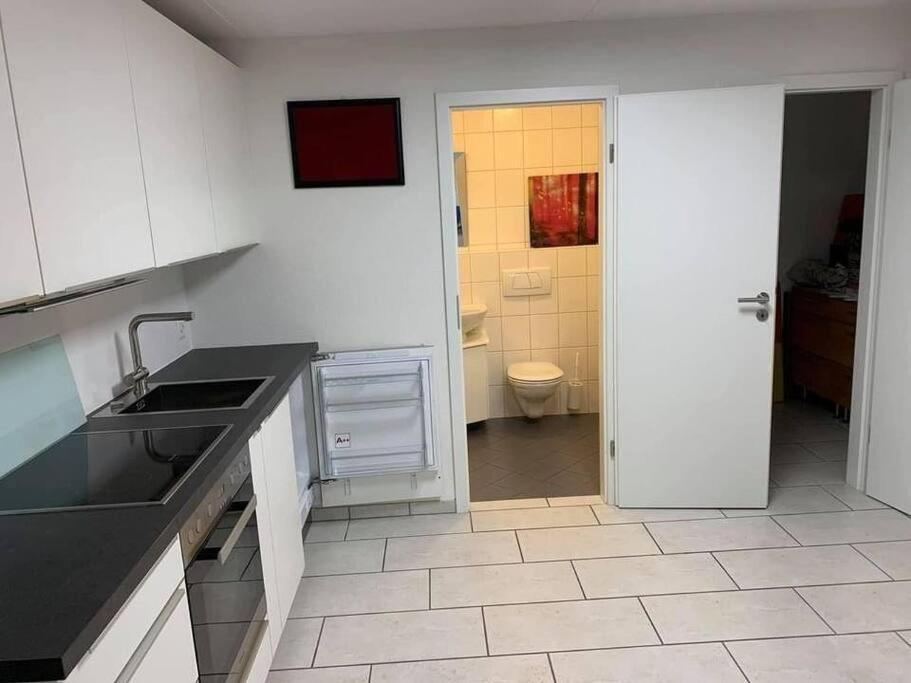 Basel - 5 Mins Away - Modern Basement Studio With Kitchen 35M2 In Muttenz Extérieur photo